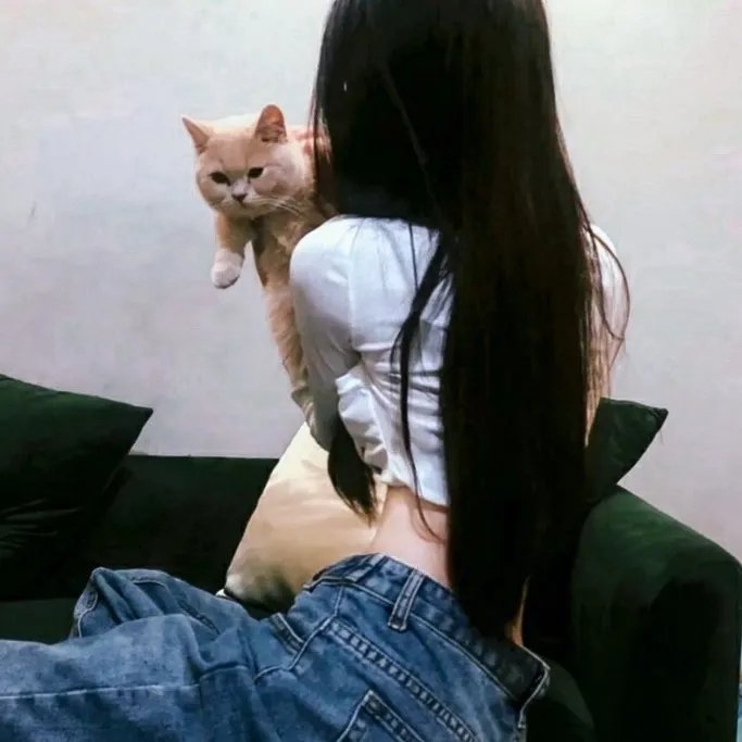 安全后卫